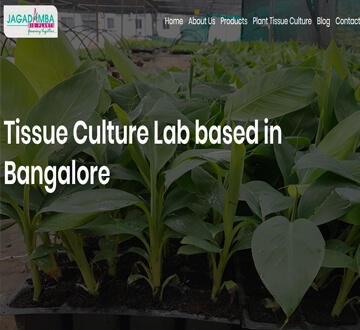 Tissue Culture Lab Based in Bangalore